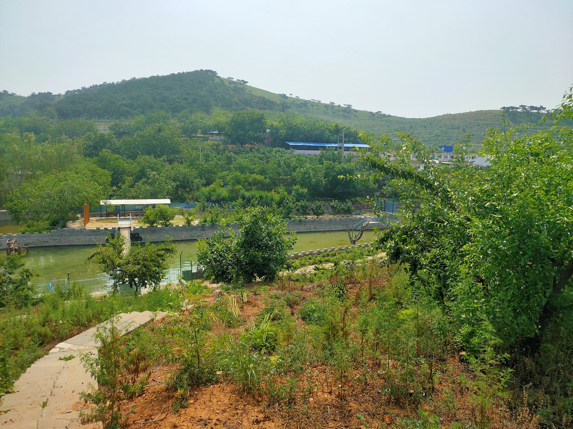 河北丰润车轴山中学_河北丰润车轴山中学 杨洋_河北丰润车轴山中学志