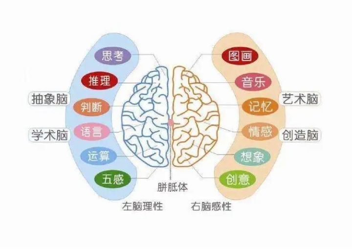提高记忆力的100个思维游戏_什么食物提高记忆力_记忆提高大师手机版