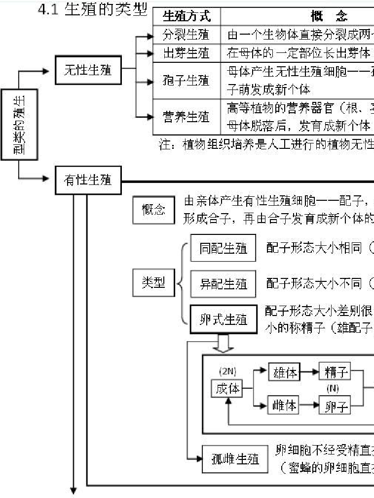 学车学自动挡好还是手动挡好_学web好还是学java好_怎样学好高中生物