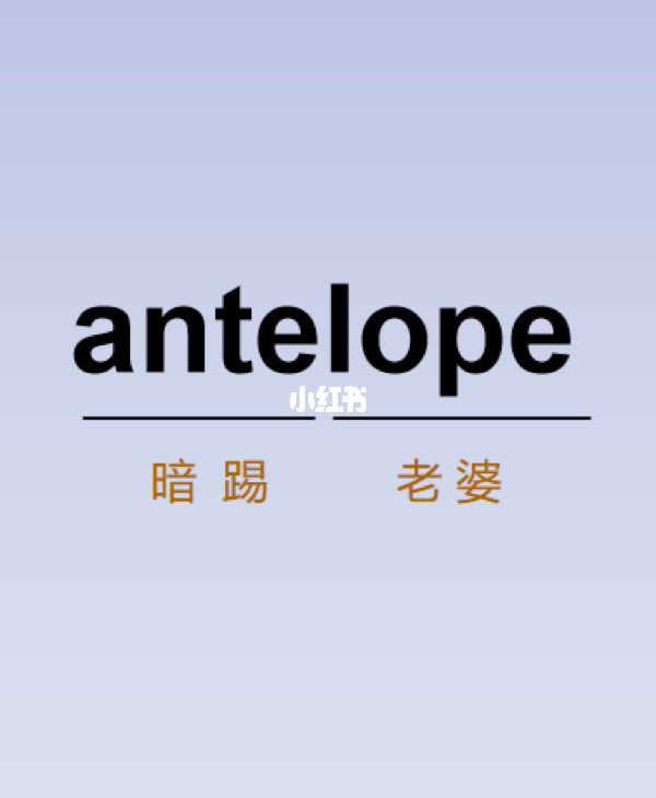 英文老婆亲爱怎么说_亲爱的老婆英文_老婆亲爱的英文