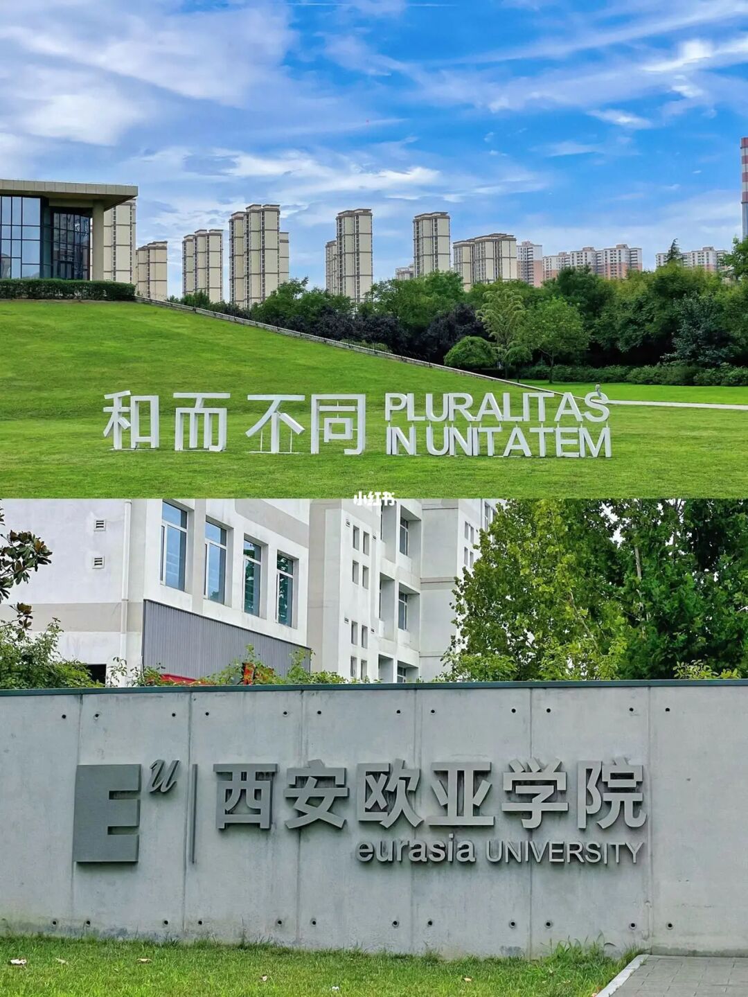 西安会计服务大厅地址_西安市会计网_西安会计服务大厅官网