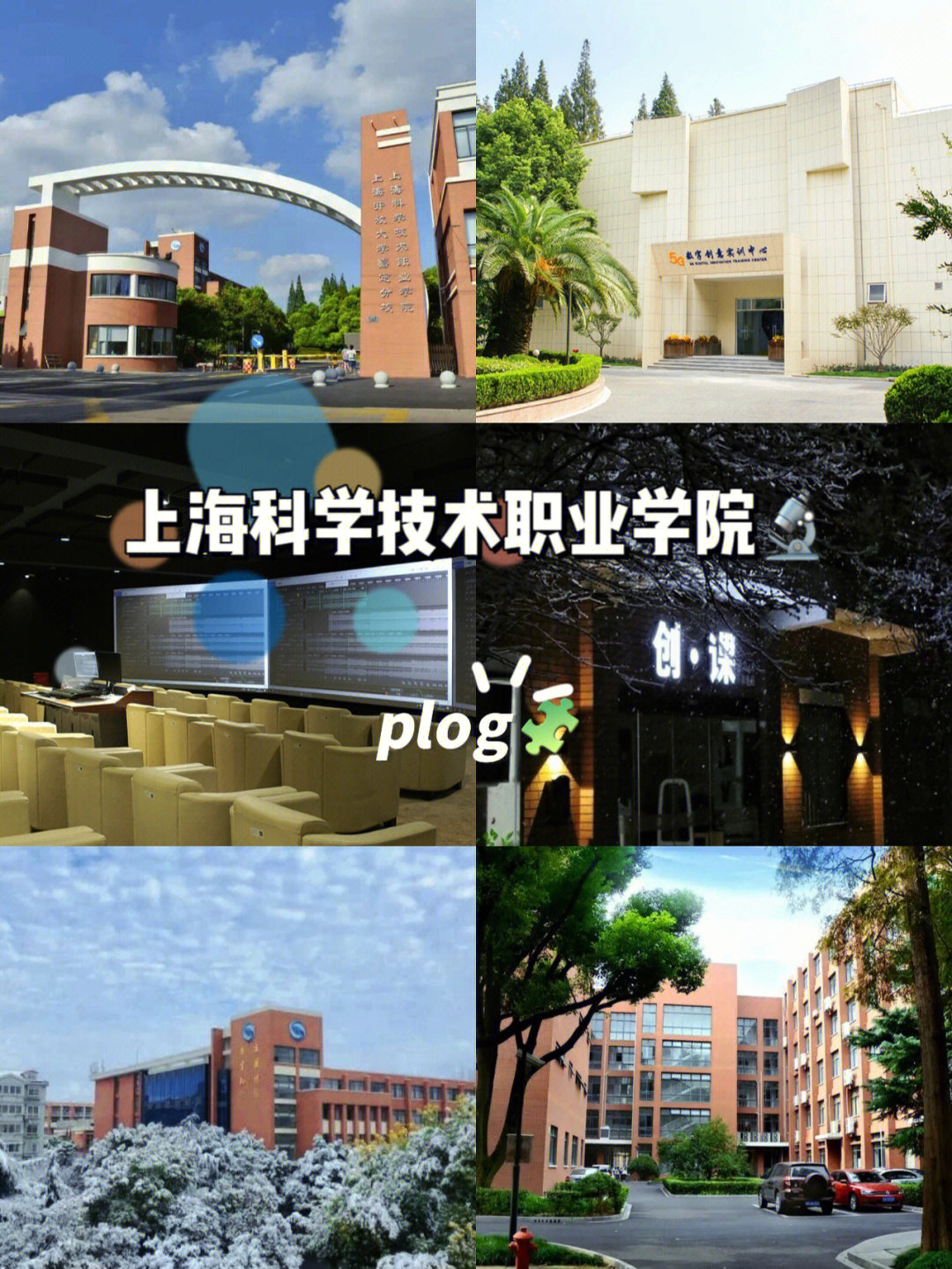上海应用技术学院信息门户_上海学院官网_南京晓庄学院教务信息门户