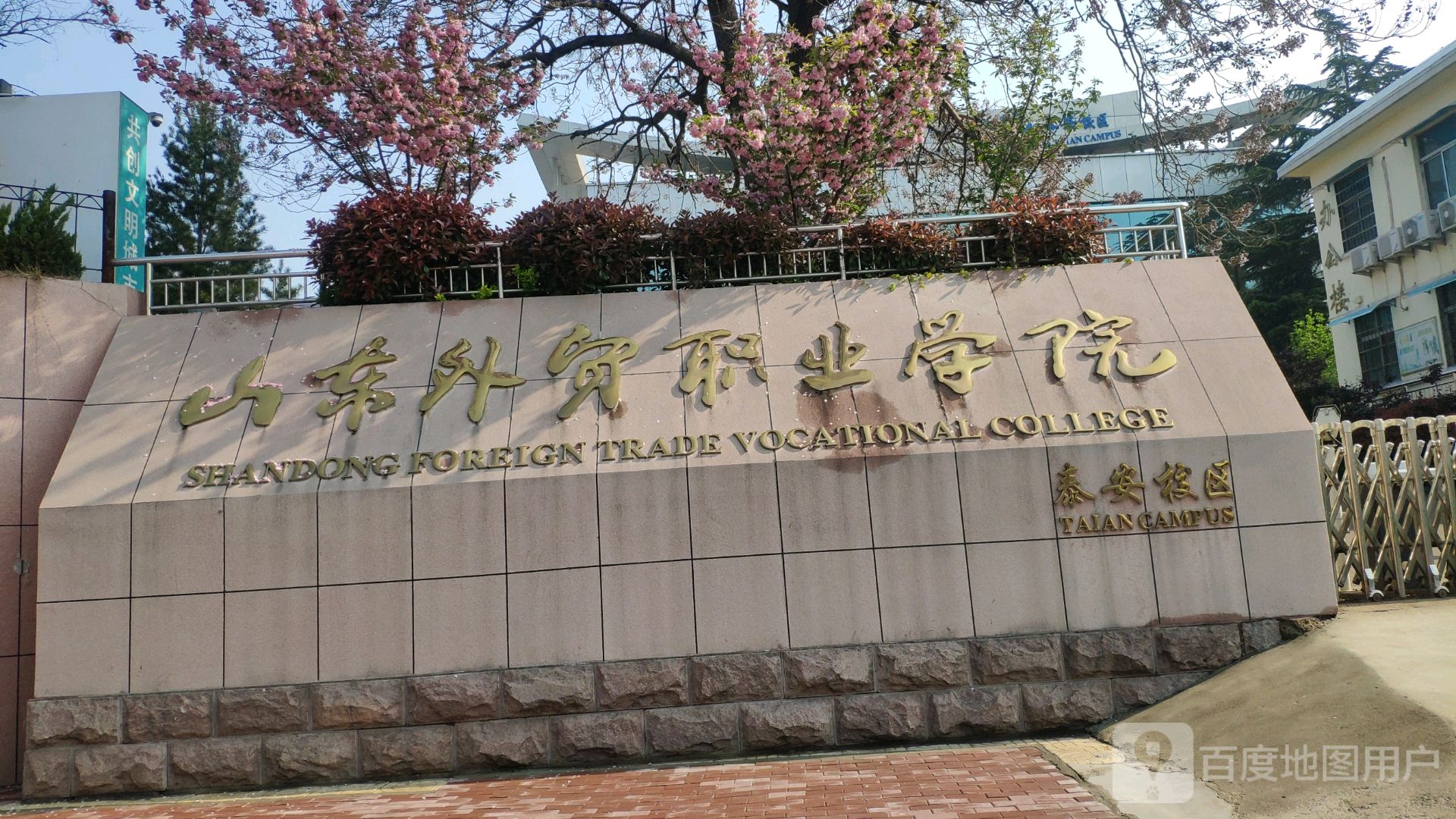 山东商业职业学院单招_山东商业职业技术学院单招报名