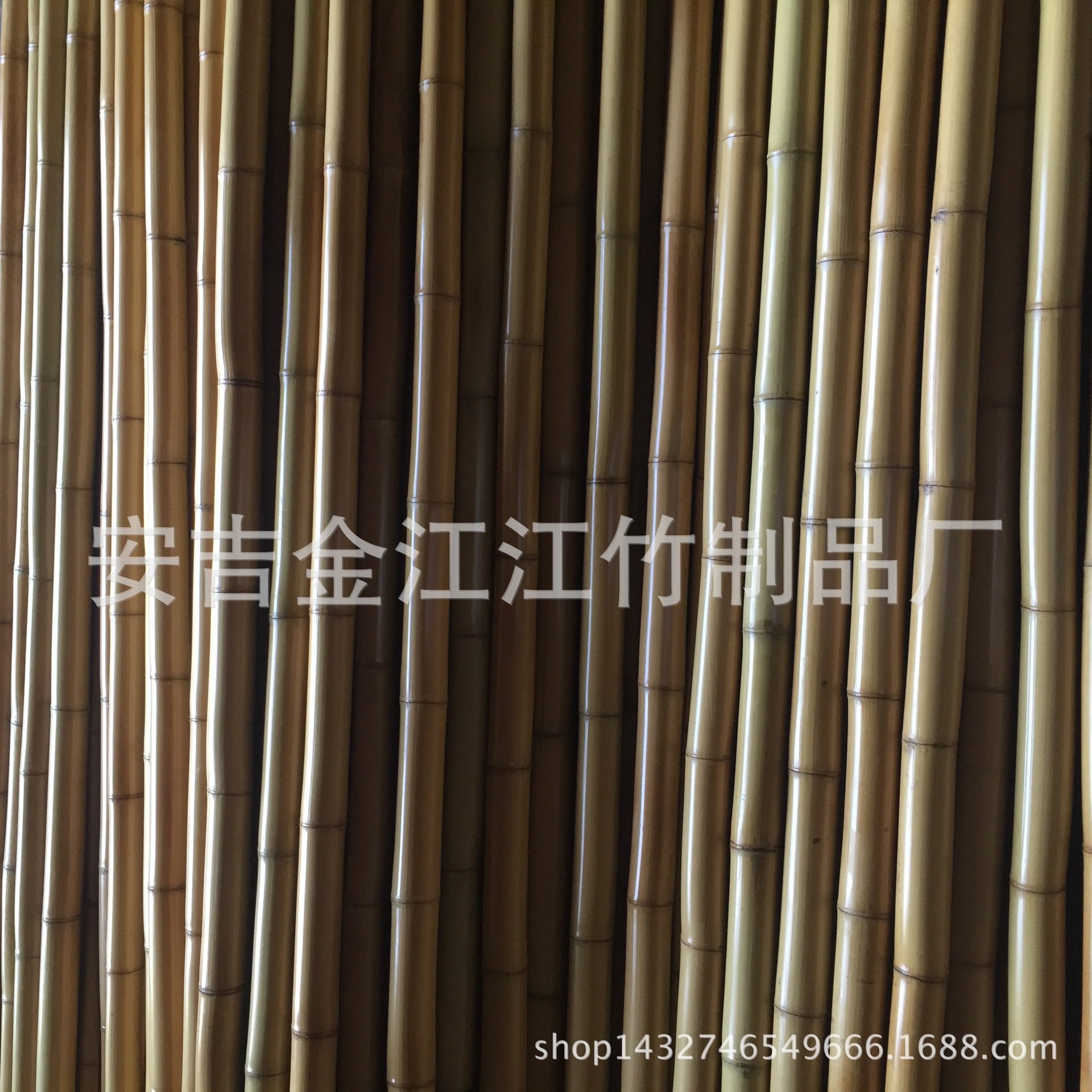 竹子作文600字_关于竹子的作文_竹子作文300字