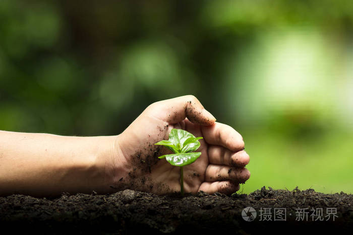 我保护了动物作文_保护珍惜动物_保护动物的作文