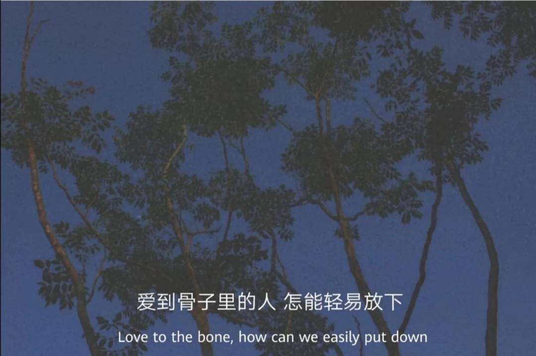 伤感句子2023最新_2023伤感句子_伤感句子2020最新