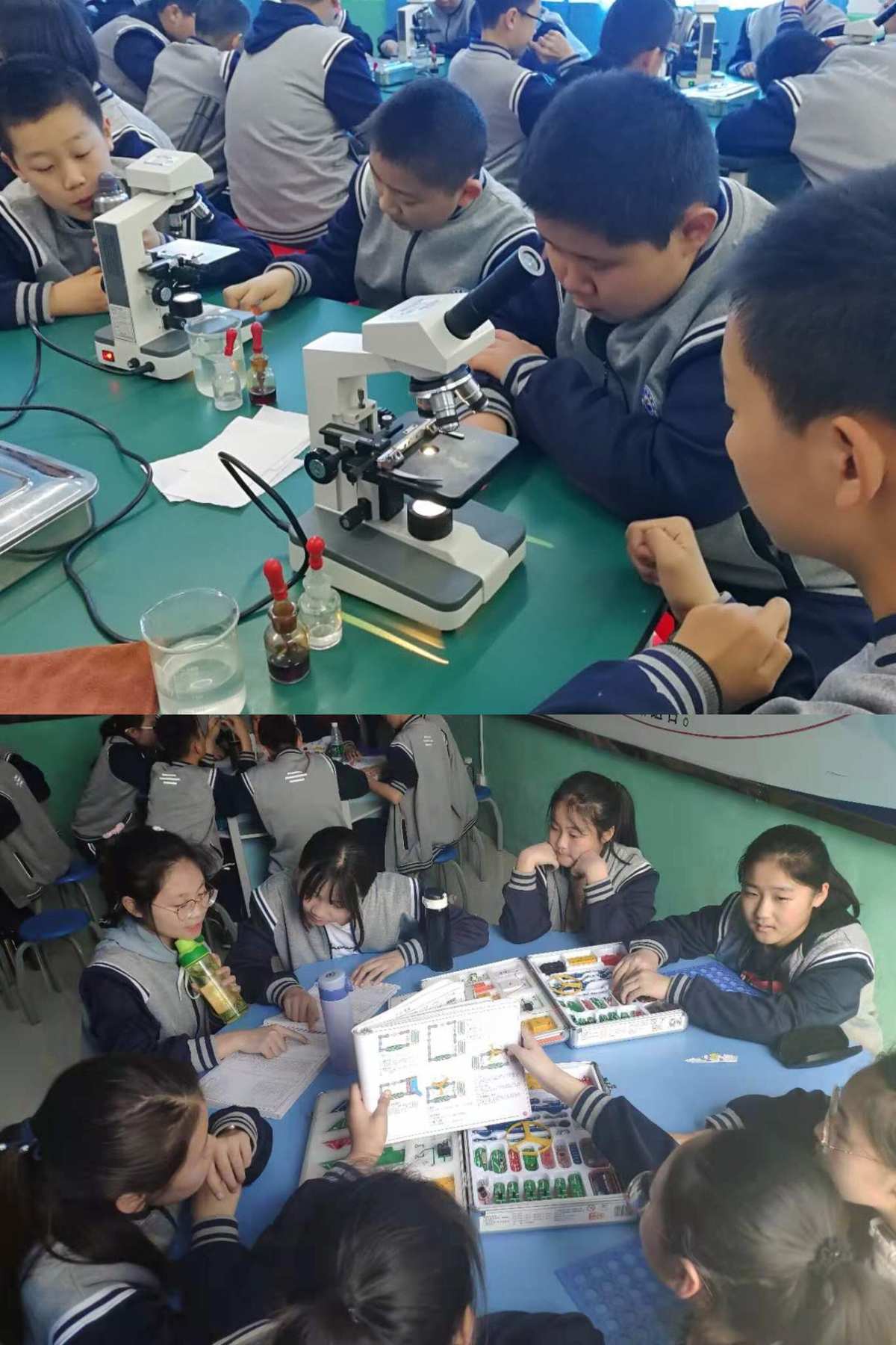 中学生与社会_中学生社会实践报告模板及范文_中学生社会实践活动内容