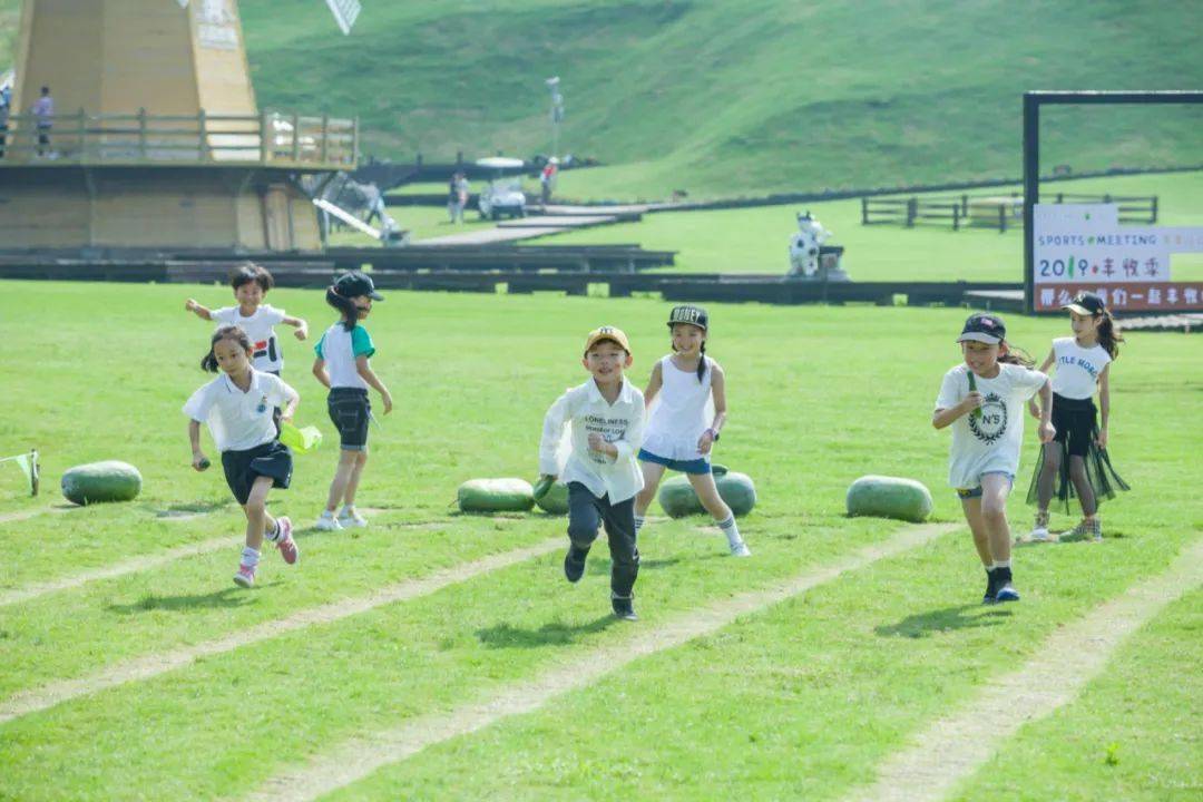郑州外国语学校国际班_郑州中澳(国际)学校_郑州艾瑞德国际学校