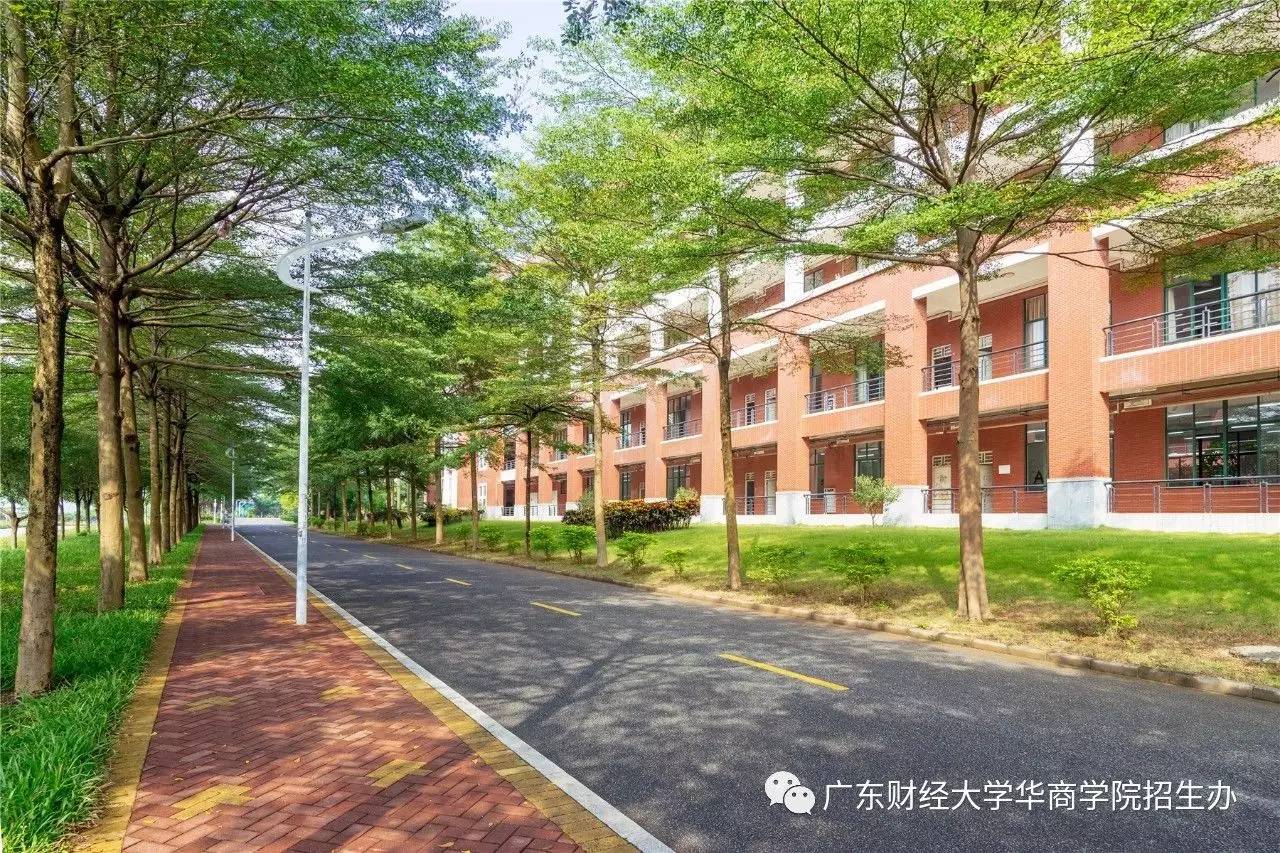 广东财经大学华商学院教务系统_广东财经大学华商学院怎么样_广东财经大学华商学院官网