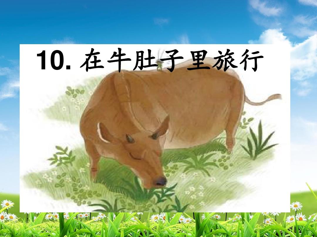 牛肚子里旅行教学反思_牛肚子旅行板书_牛肚子里旅行的课后反思