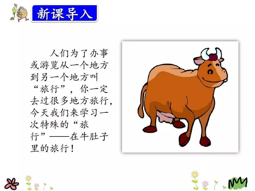 牛肚子旅行板书_牛肚子里旅行的课后反思_牛肚子里旅行教学反思