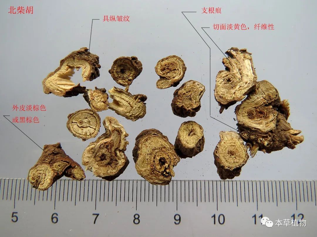 执业药师考试中药二_执业中药师中药鉴定学_2023执业中药师招聘
