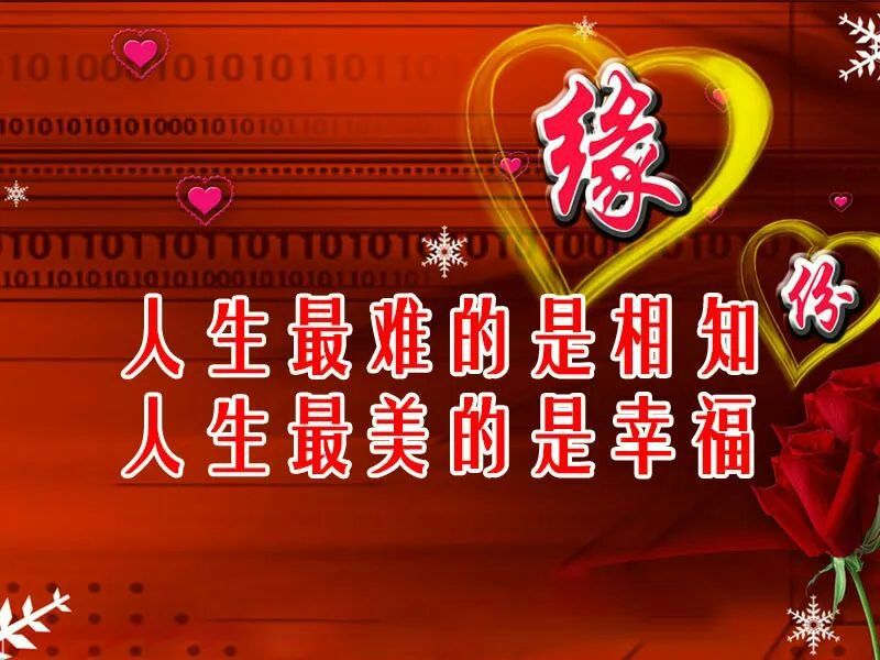 相逢何必曾相识什么意思_相识相逢意思是什么_相识相逢意思和造句