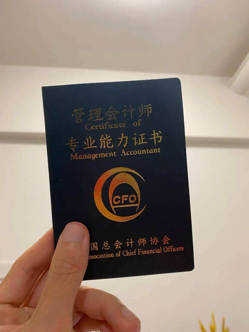 中级会计师管理号查询_中级管理会计师_中级会计师管理号是几位数
