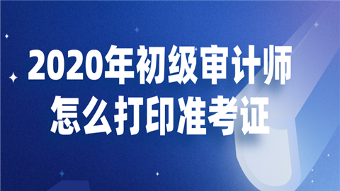 审计师中级考试_中级审计考试师考几门_中级审计考试师报考条件