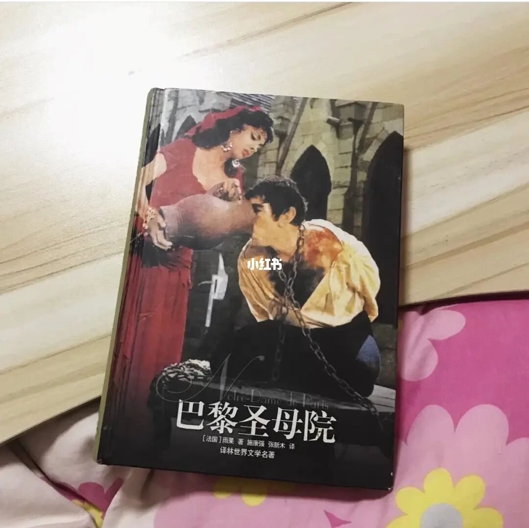 巴黎圣母院 读后感_《巴黎圣母院》读后感受