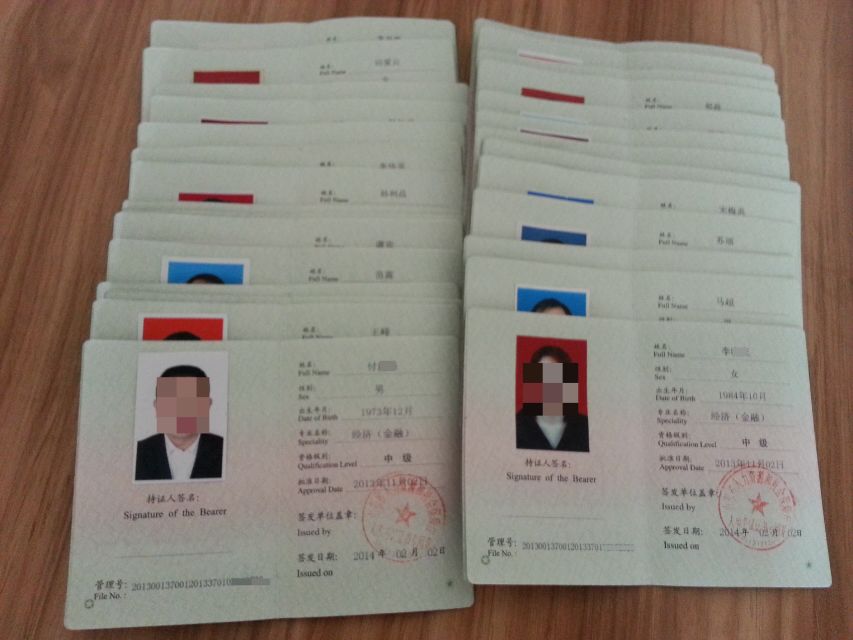 中级经济师重要性_中级经济师有什么作用_中级经济师优势有哪些