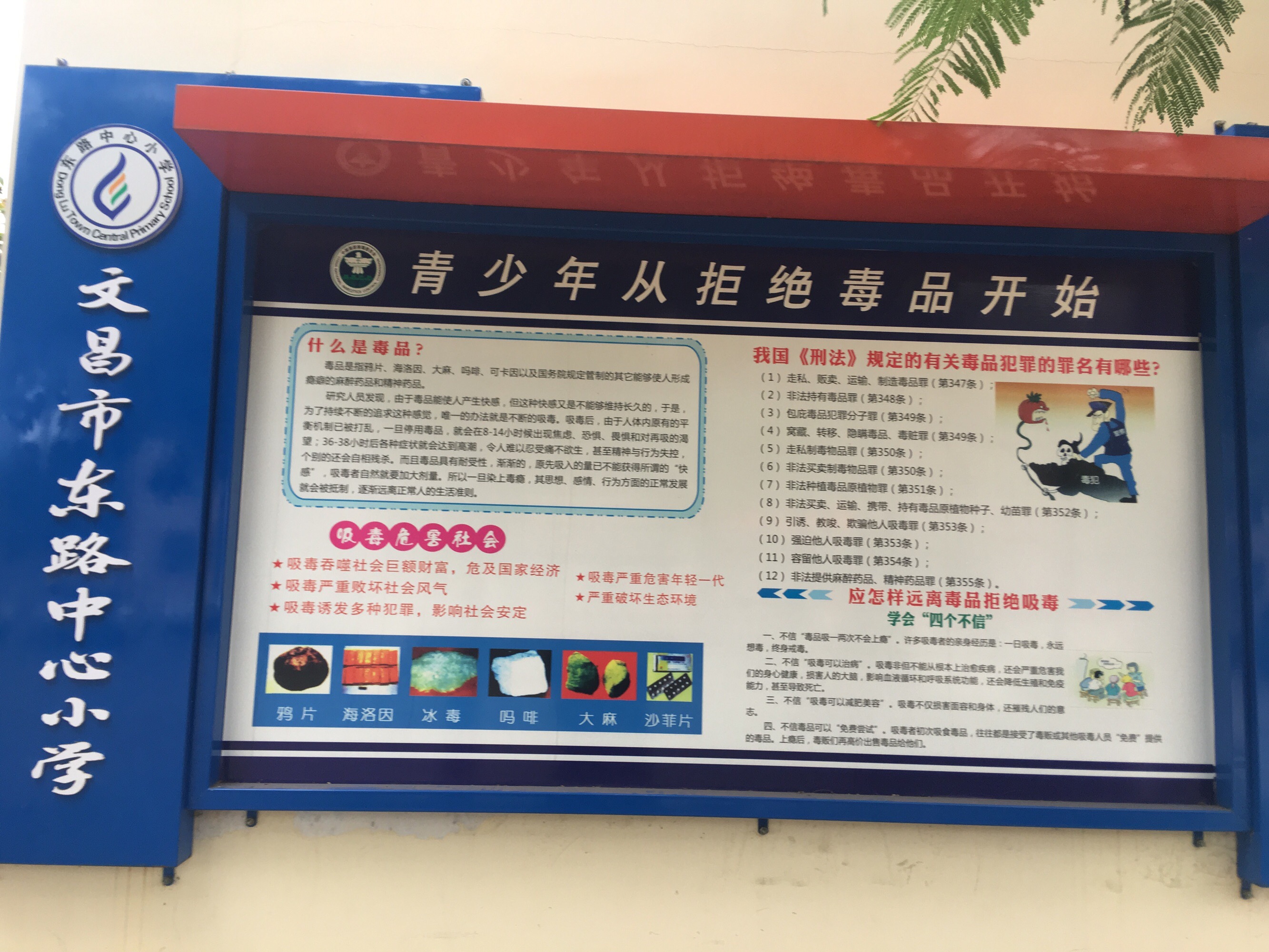 禁毒作文600字_禁毒作文字数500字左右_禁毒作文400字