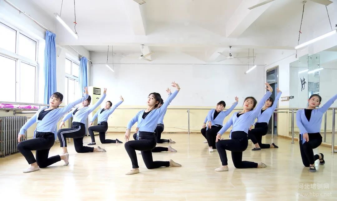 石家庄辅导学校哪家好_石家庄辅导学校有哪些_石家庄辅导学校
