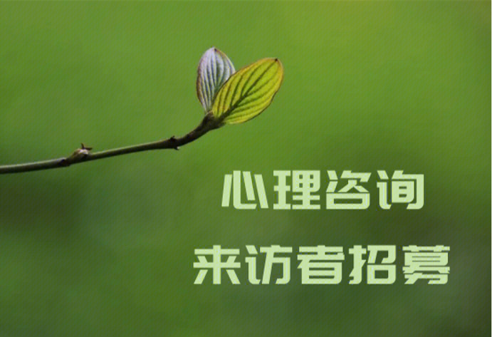 2021年心里咨询师报考_心理咨询师2022年_2024年嘉兴心理咨询师