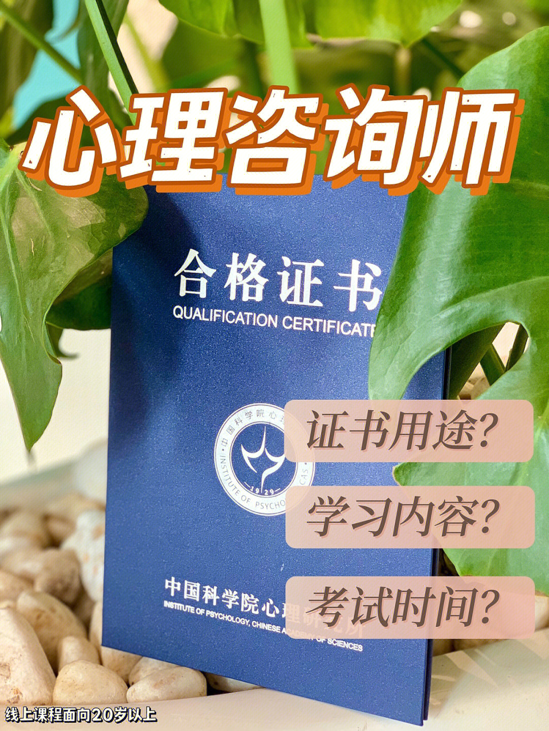 成都心理咨询师考试时间_成都心理咨询师考试报名条件_2024年成都心理咨询师二级