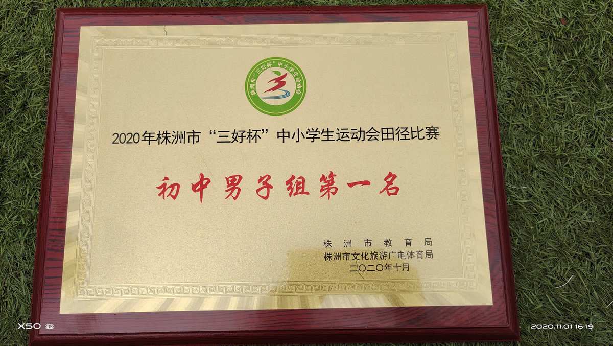 株洲南方中学是公立还是私立_株洲市南方中学是省重点吗_株洲南方中学
