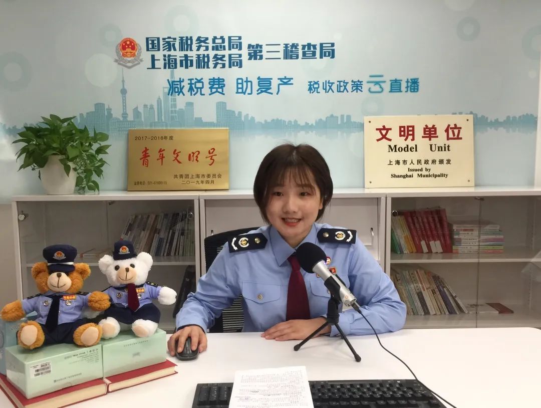北京电子税务局操作指南_北京电子税务局移动端app_北京电子税务局