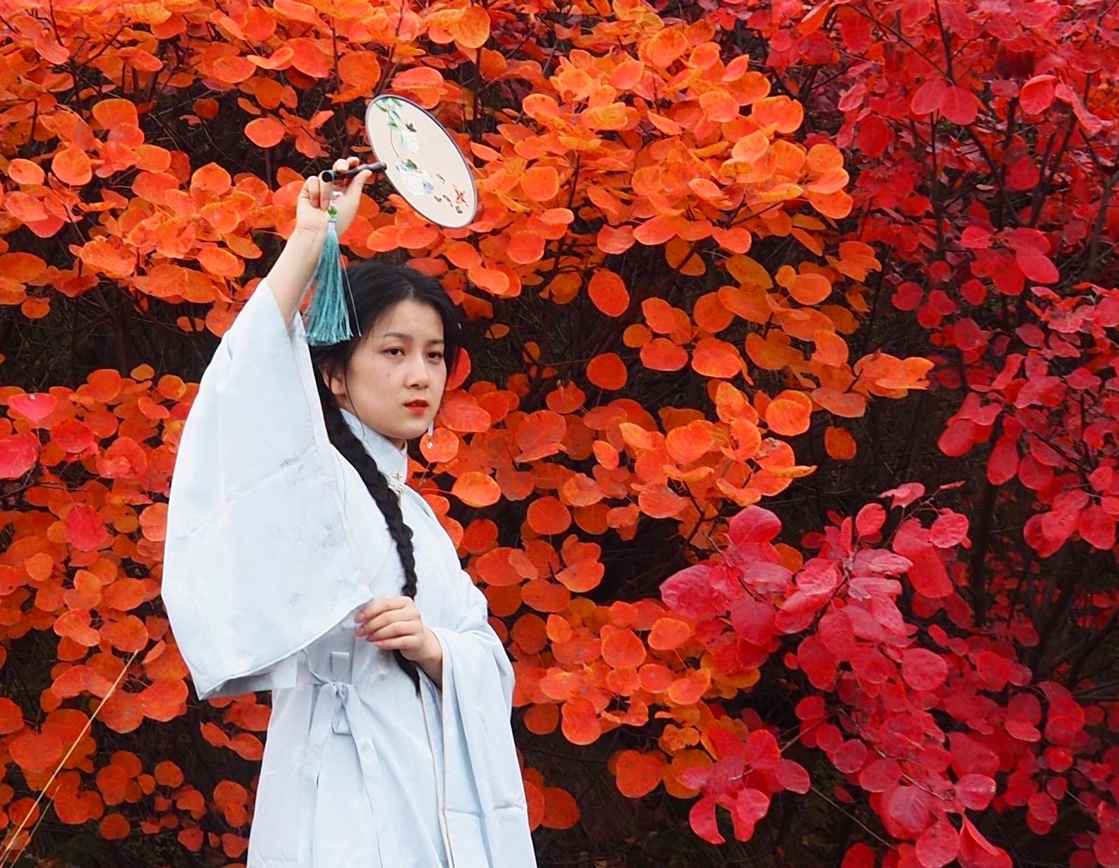 赤鬼城和红叶祭的区别_古北水镇红叶祭_红叶祭的养殖方法