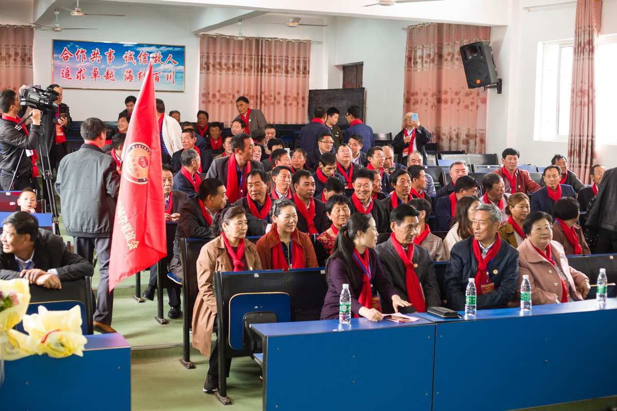 联谊活动主题_联谊主题活动有哪些_联谊主题