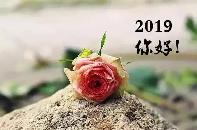 关于八月的唯美句子_唯美八月句子简短_唯美八月句子大全