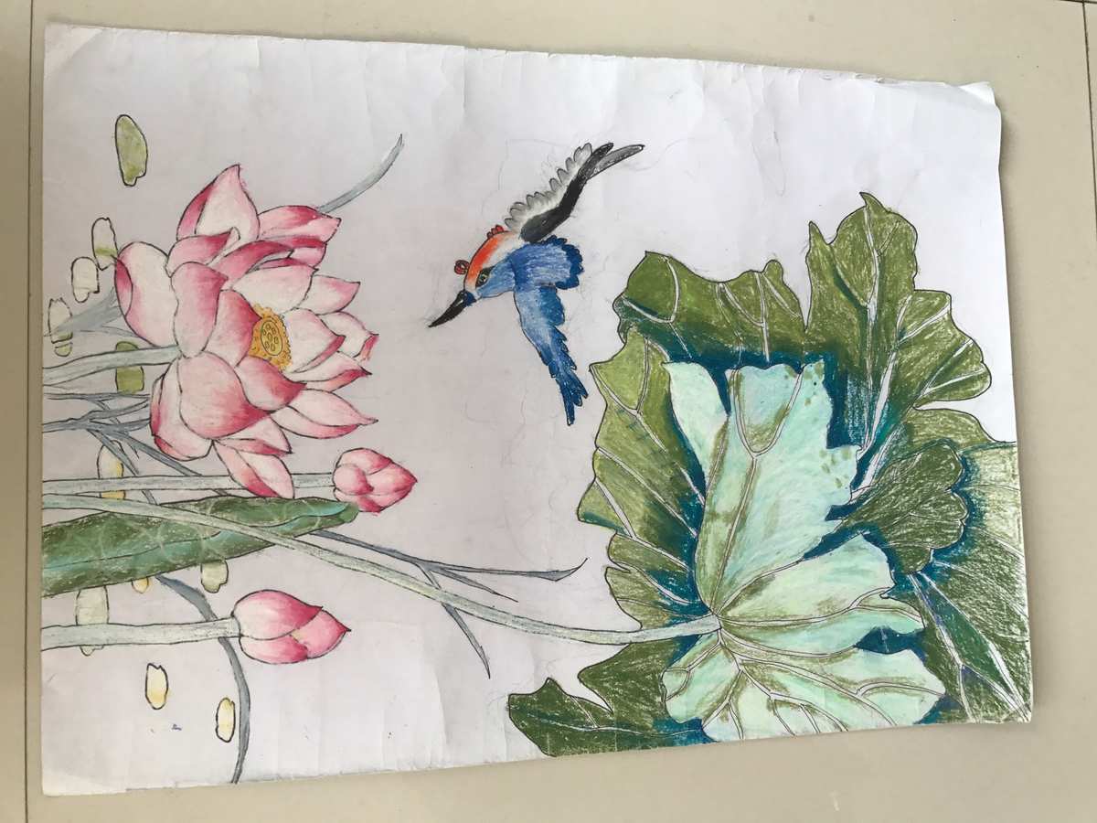专科排名艺术学校前十_专科艺术学院排名_艺术专科学校排名