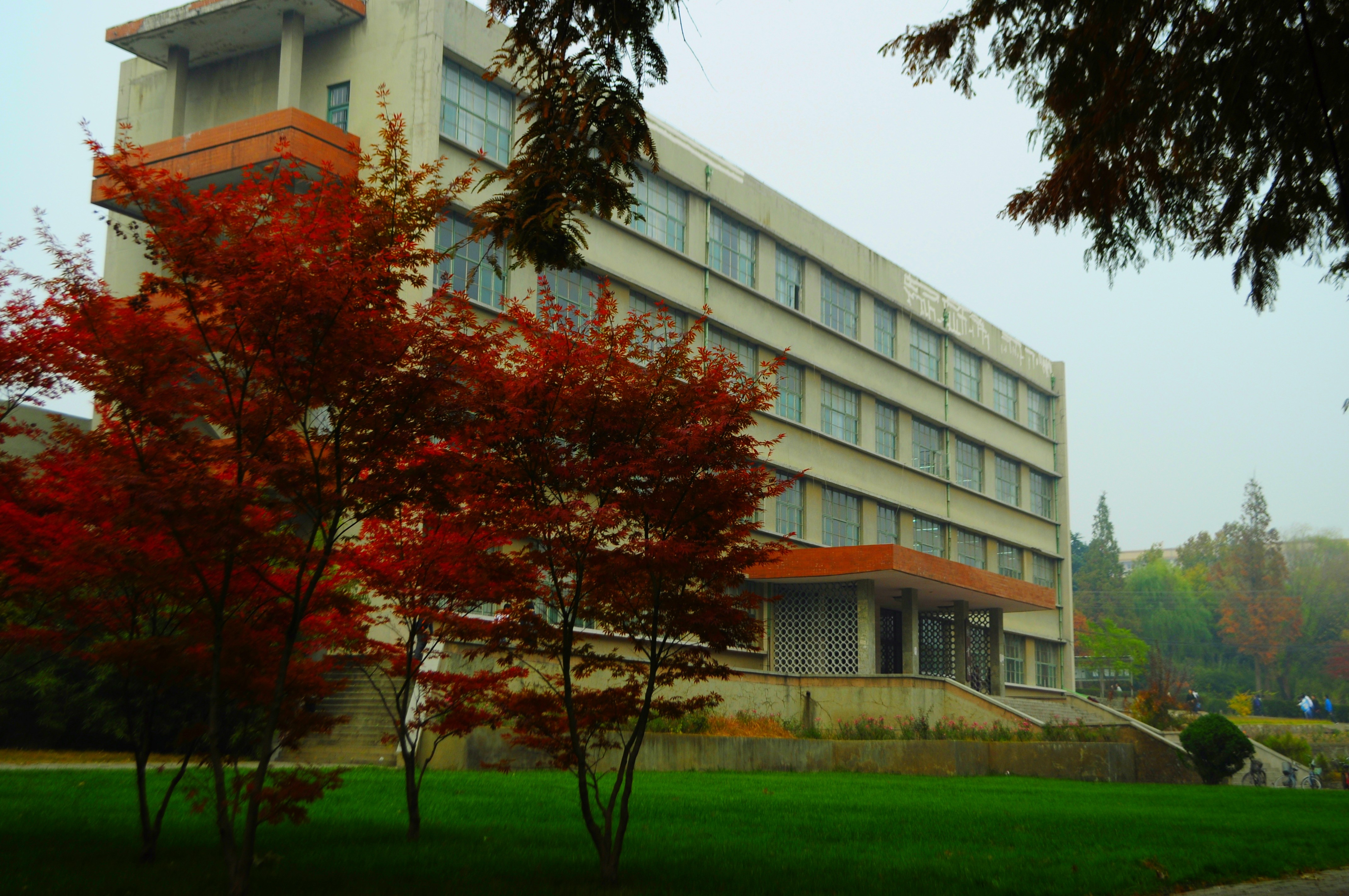 青岛农业大学是几本_青岛农业大学在哪_青岛农业大学海都学院