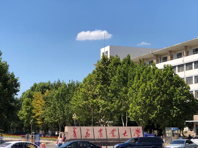 青岛农业大学是几本_青岛农业大学在哪_青岛农业大学海都学院