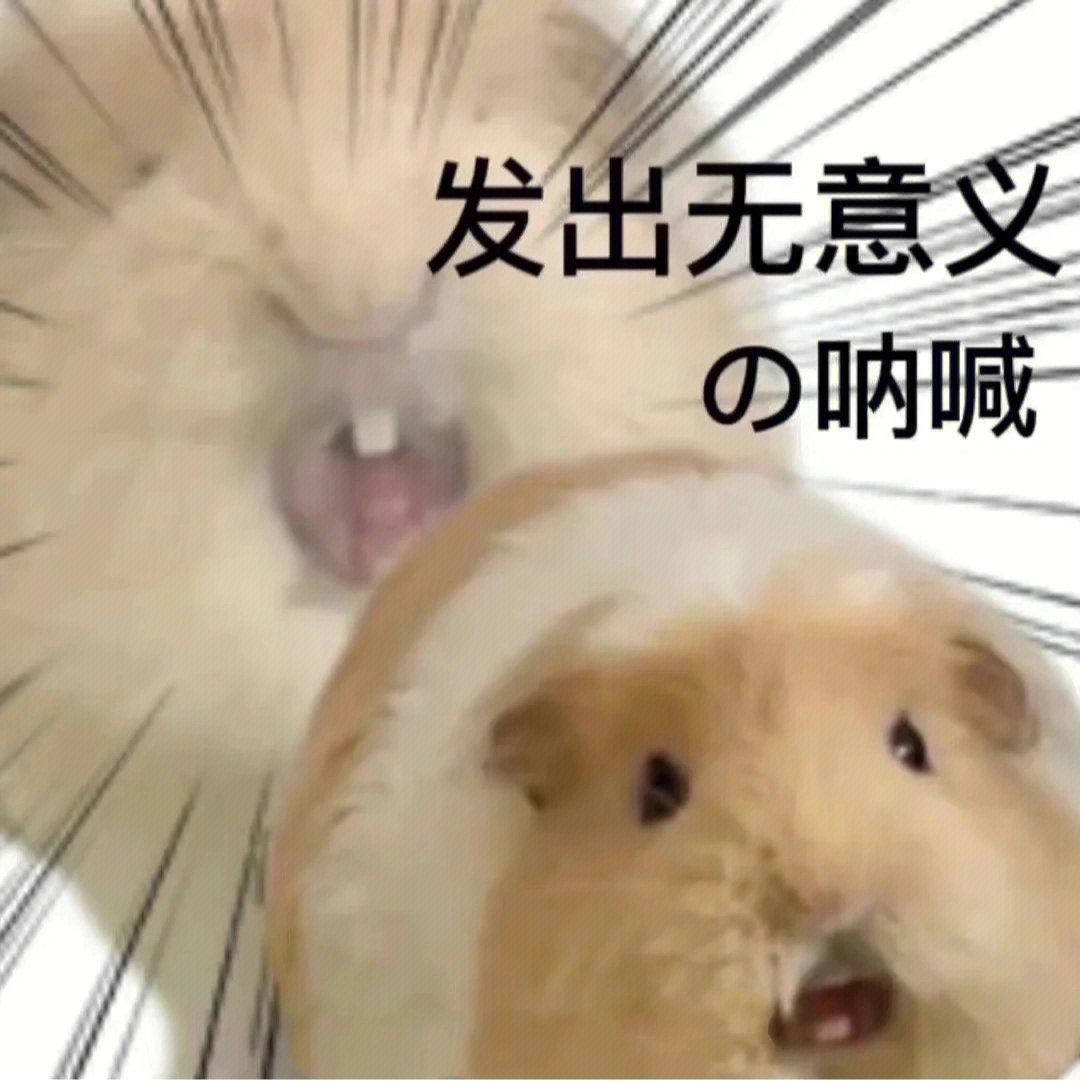 《冬儿姑娘》_冬儿姑娘好句_冬儿姑娘精彩句段
