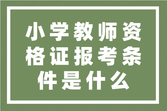 2021上班年教师资格证报名_2120年教师资格证报名_2024年教师资格证报名