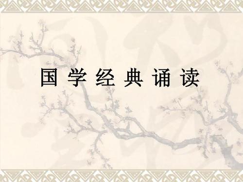 社会实践活动实践内容_社会实践活动内容_实践社会内容活动方案