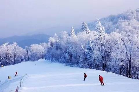 哈尔滨冰雪大世界_哈尔滨冰雪大世界航拍视频_20年哈尔滨冰雪大世界