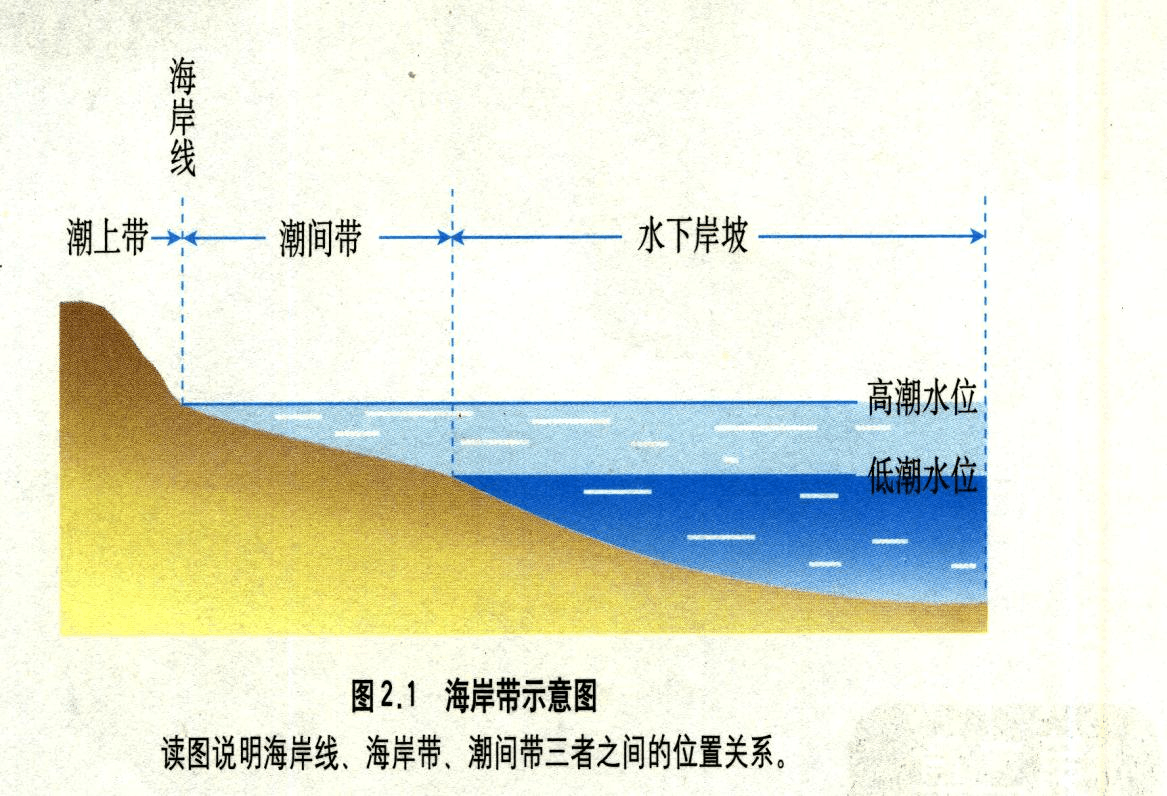 曲折海岸线对经济发展的影响_海岸线曲折的原因_海岸线曲折多海湾的原因