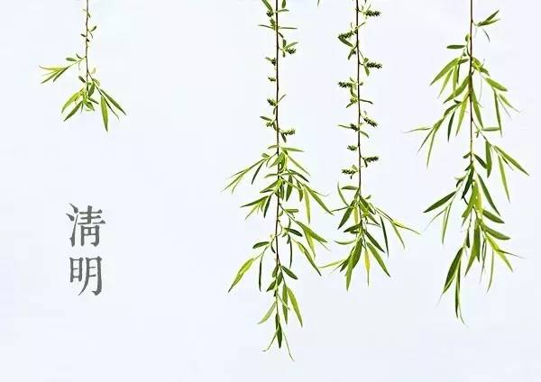 清明寄托哀思的句子_清明节寄托哀思的语句_寄托清明节哀思的句子