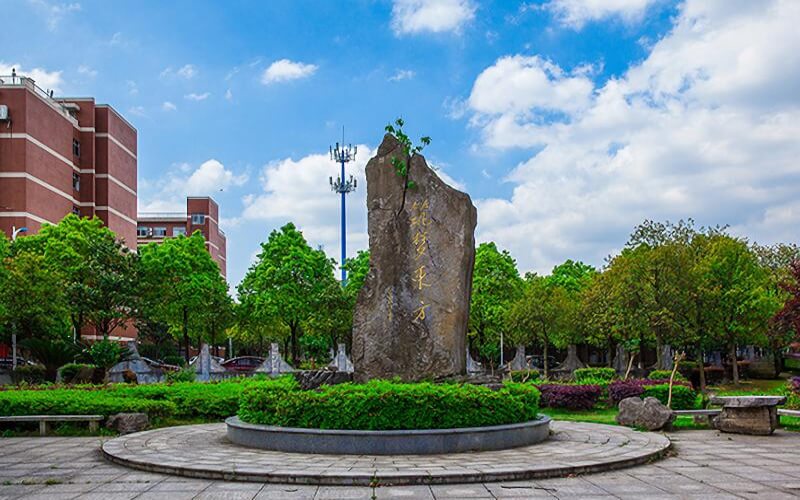 北京农业大学是211吗_北京农业大学排第几_农业大学北京的
