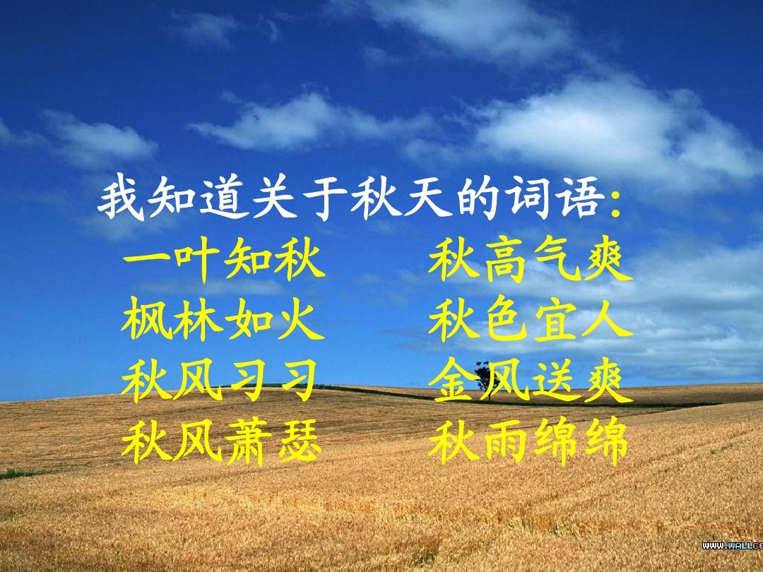 秋雨的优美短句_秋雨的句子简短唯美_秋雨唯美说说