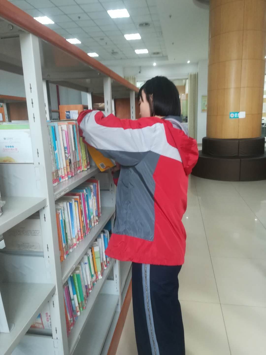 图书室计划工作总结_图书室工作计划安排_图书室工作计划
