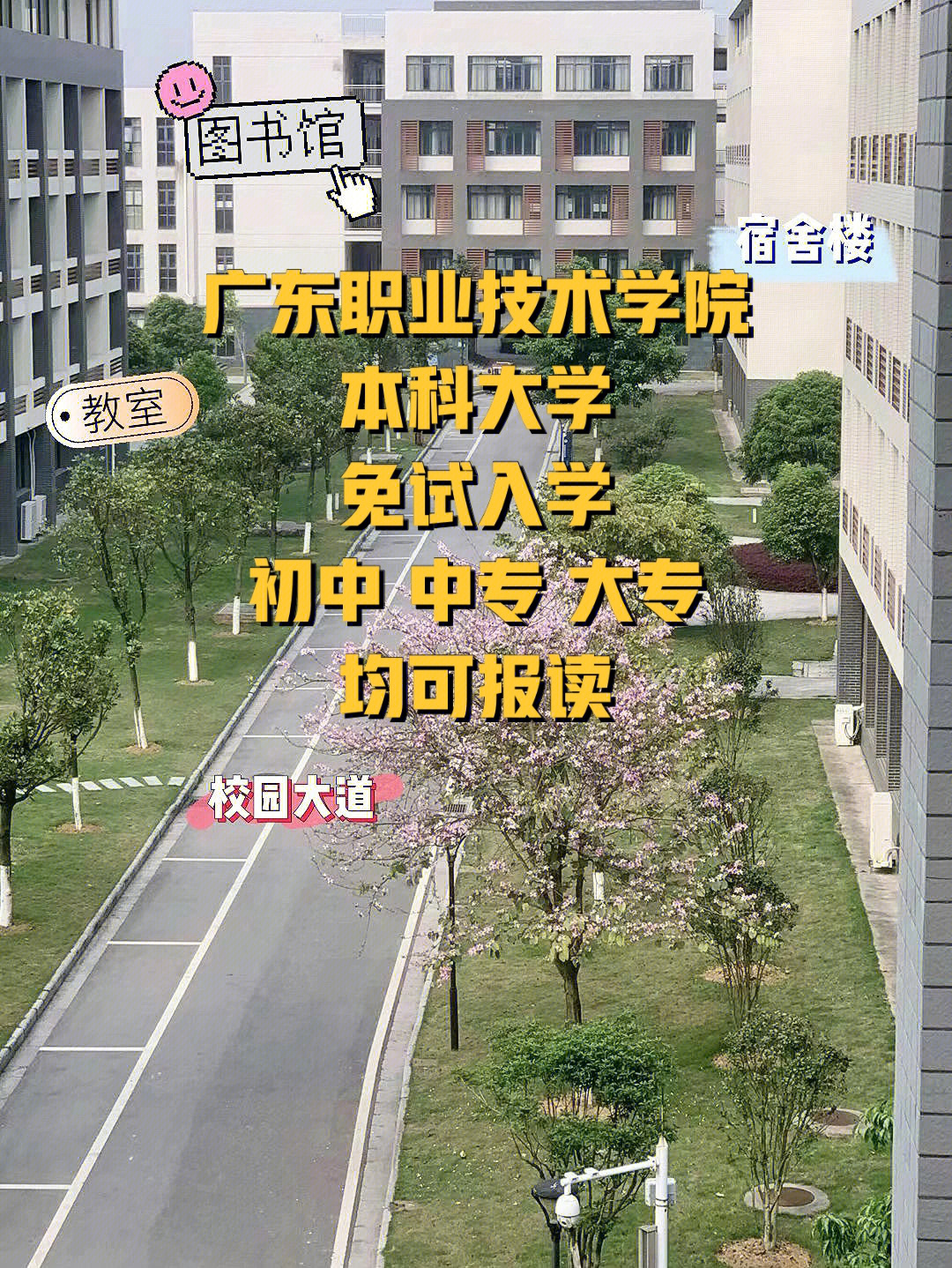 专科广州学校有哪些_广州专科_广州的专科学校