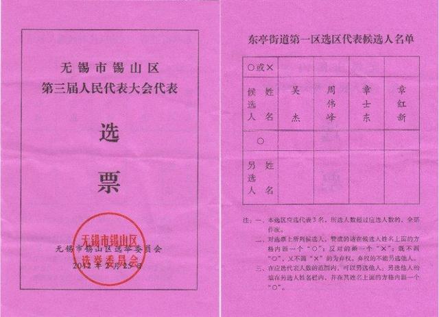 美国实时选举结果_美国选举实时_美国选举实时数据