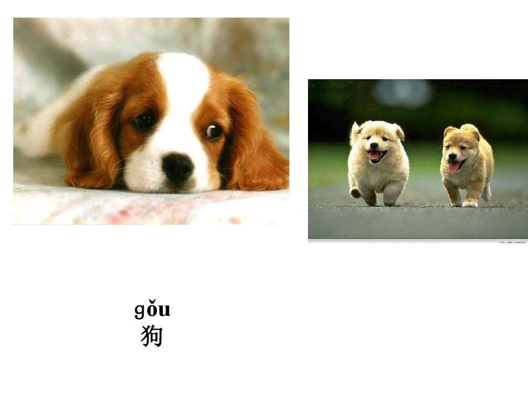 拼音玩法_玩意儿的拼音_汉语拼音儿歌玩具