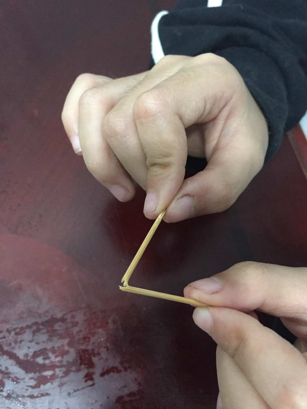 铁筷子根系需要全部埋嘛_铁筷子铁筷子_十根筷子坚如铁的上一句