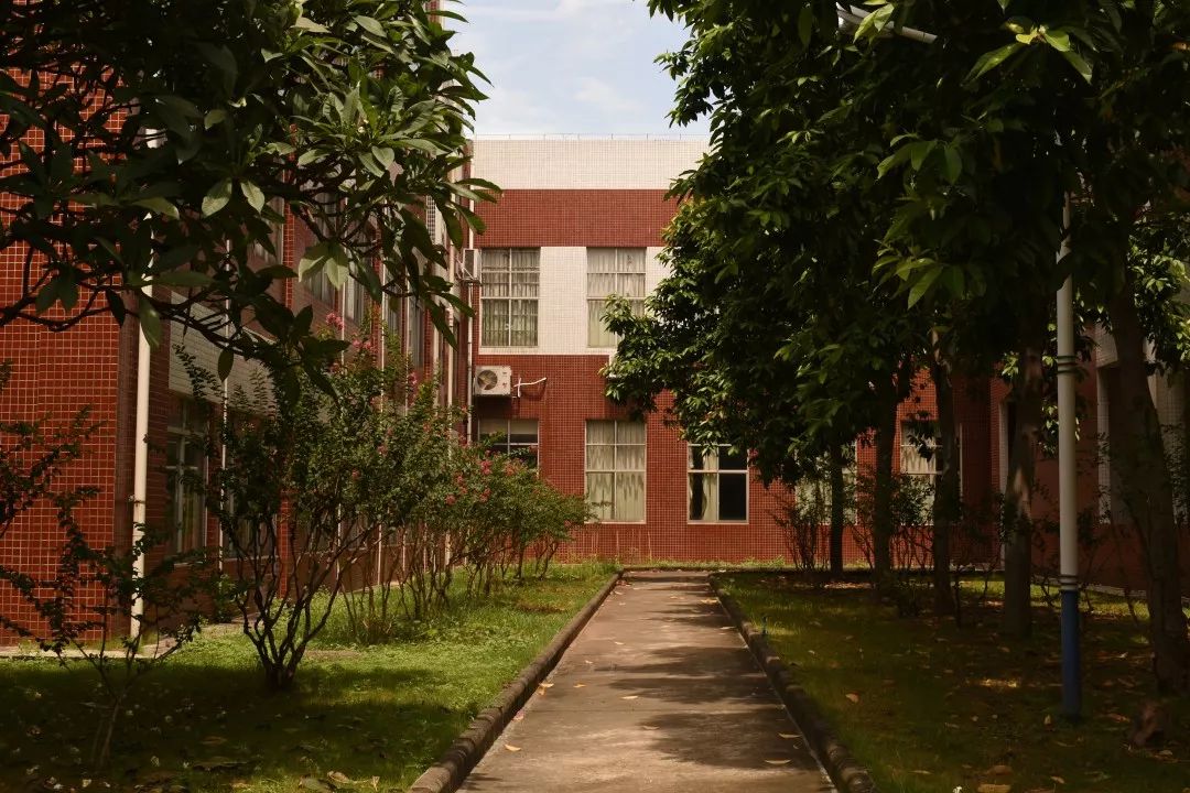 广州纺织学院在哪个区_广州纺织学院_广州纺校官网