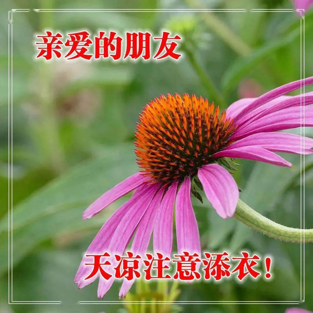 建军节祝福语言_建军节祝福语_2021年建军节的祝福语