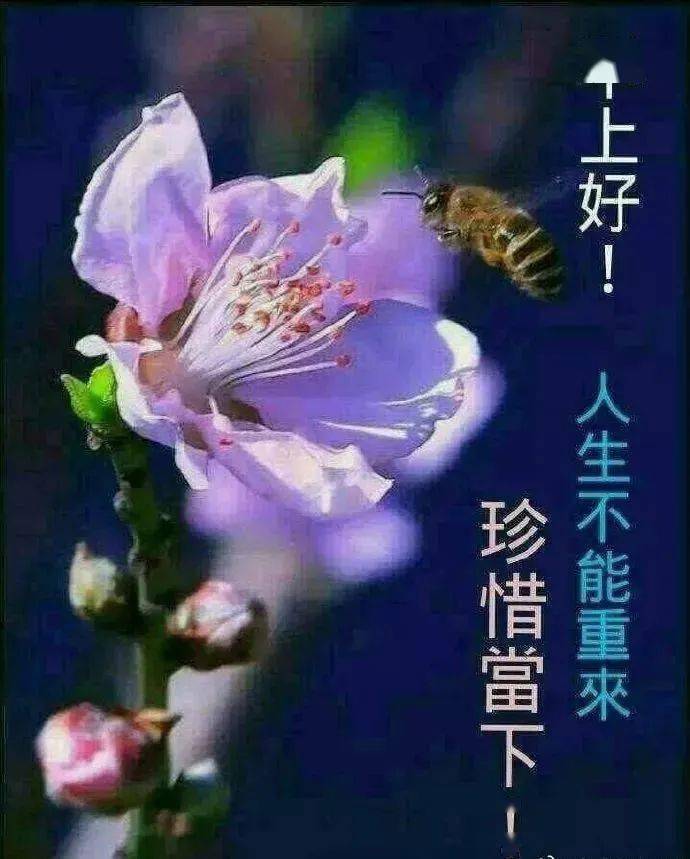 建军节祝福语言_2021年建军节的祝福语_建军节祝福语