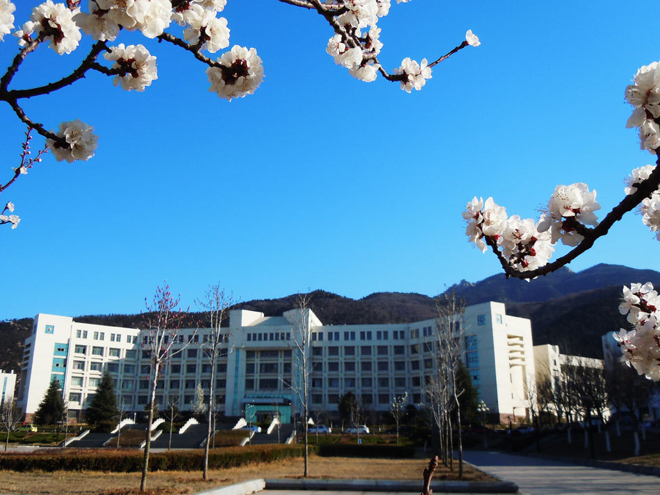 泰山学院职业技术学院地址_泰山职业技术学院_泰山学院职业技术学院官网